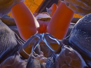 Фурри монстры отымели мою жену, двойной анал и двойное проникновение 9/16