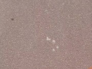 Devil's walk in Cap d'Agde. Blowjob on the street, broad daylight 9/16