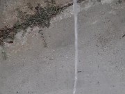 Pissing outside in the rain 8/16