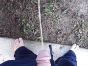 Fast pissing in the backyard with neighbor gardening next door 10/16
