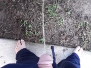 Fast pissing in the backyard with neighbor gardening next door 12/16