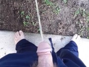 Fast pissing in the backyard with neighbor gardening next door 4/16