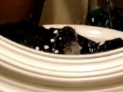 Big black cock needs to be sucked 