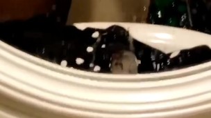 Big black cock needs to be sucked 