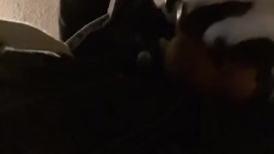 Horny collie murrsuit jerks off and cums hands free