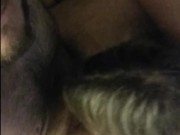 Leash and Collared Blonde Pet Slave Girl Begins Toilet Bowl Worship Training | DaddysCowgirl 13/16