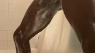 Soapy Jacker Shower Show - Dontiki