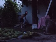 I prepare the pear for drying 15/16