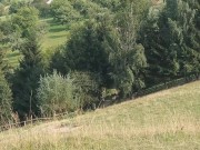 Alpine PEE # Amazing PISS with Amazing View - Screenshot 4 of 16 - Sexy Girl