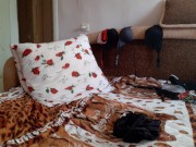 Мачеха меня застукала с девушкой и узнала, что я лесбиянка - lesbian_illusion 16/16