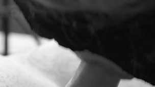 Super close-up blowjob