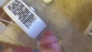 Jellyfish jerkoff