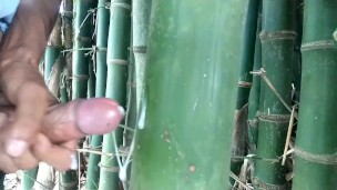 Indian boy cumming on bamboo,Handjob Cumshot
