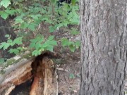 Exhibitionist girl in the forest masturbated for sex with my girlfriend - IkaSmokS 11/16