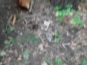 Exhibitionist girl in the forest masturbated for sex with my girlfriend - IkaSmokS 7/16