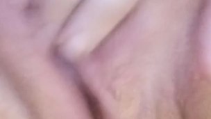 Phat Kitty Quickie