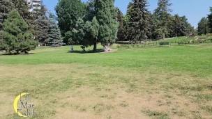 Tits out in the park