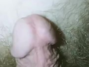 Soft hairy dick