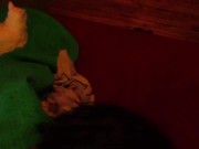 Fête du Québec! 13/16