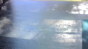 Voyeur Mr Grey Masturbates To PAWG Tanning Nude With Huge Cumshot