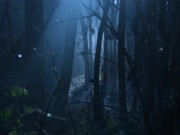 O My Goddess - Summon me, mortal! Erotic Audio by Eve's Garden [Audio only][Supernatural]