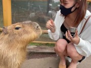 動物園で女子大生と露出ハメ撮りデートから露天風呂で野外露出で見せつけ中出しSEX！♡RYO&YUU♡素人カップル/歳の差/10代/美少女/色白/スタイル抜群/野外露出/パンチラ/着替え/温泉/フェラ 5/16