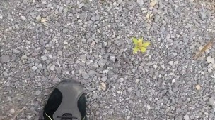 Taking a piss on country road