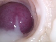 Internal camera. Creampie your pussy 14/16