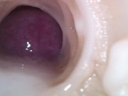 Internal camera. Creampie your pussy 15/16