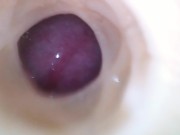 Internal camera. Creampie your pussy 3/16