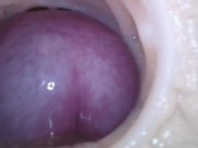 Internal camera. Creampie your pussy 7/16