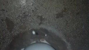 Night Dirty