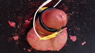 Hour long CBT session including balls slapping, hot wax play and e-stim teasing until cum leaks out