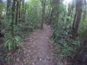 Just walking away from a garden