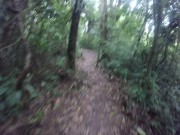 Just walking away from a garden 11/16