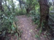 Just walking away from a garden 13/16