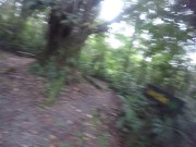 Just walking away from a garden 15/16