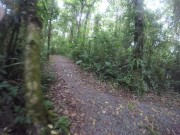 Just walking away from a garden 16/16