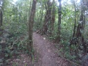 Just walking away from a garden 2/16