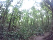 Just walking away from a garden 3/16