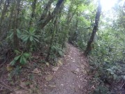 Just walking away from a garden 6/16