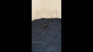 SyckChick Squirts on Cucumber with Gag in