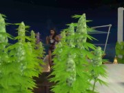 Pleasure In Paradise #1 - Fucking Former Bullys Boyfriend - Pound Me Till Creampie - SIMS 4 Roleplay 6/16