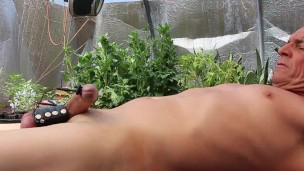 Greenhouse Wank