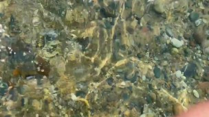 Pee on the ocean