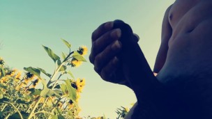 Dany x : Sunflower Love