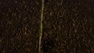 Piss next to road