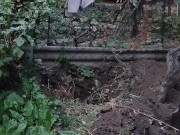 Burying leaves is a good way 11/16