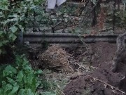 Burying leaves is a good way 12/16