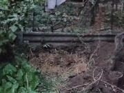 Burying leaves is a good way 13/16